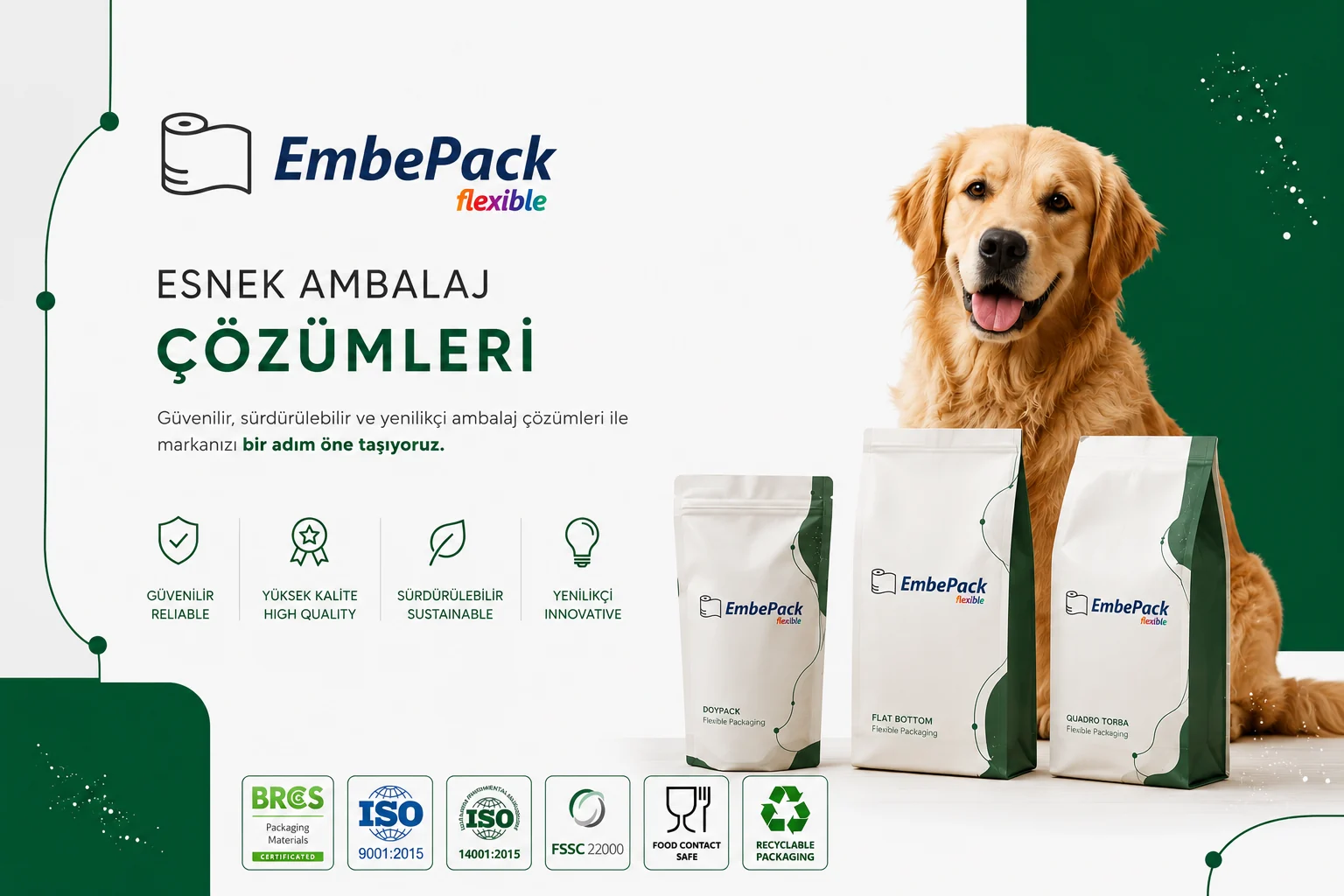 Evcil Hayvan Maması ve Kedi Kumu